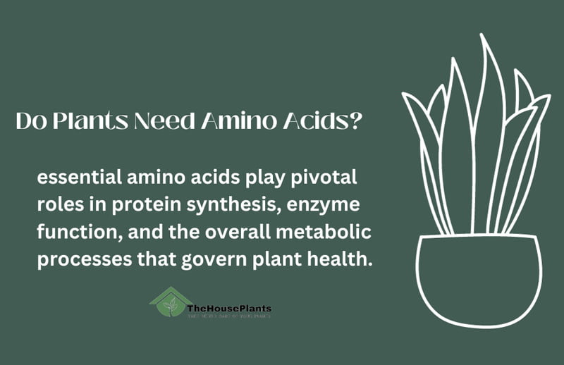 Do Plants Need Amino Acids