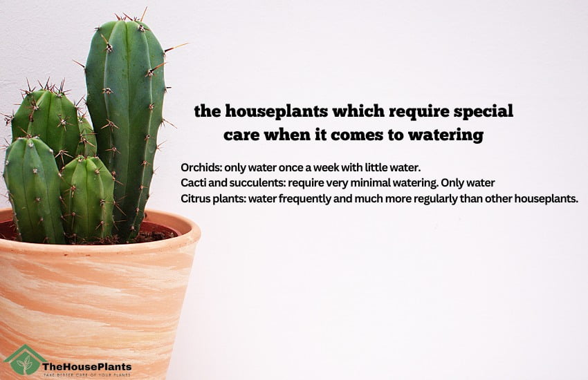 best water for indoor plants