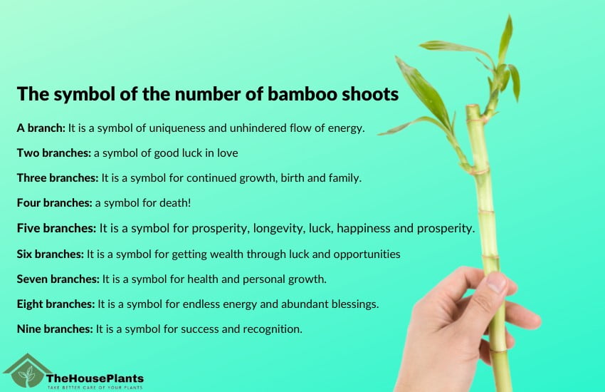 bamboo symbolize