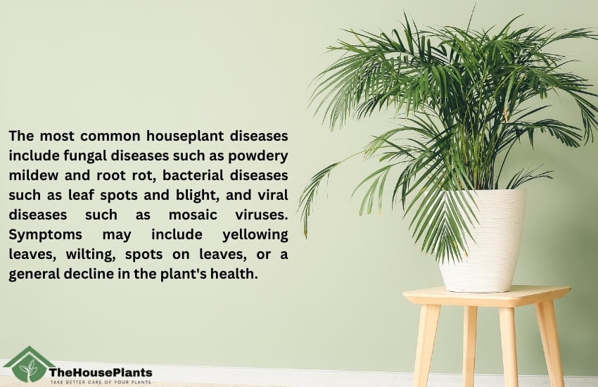 common houseplant diseases