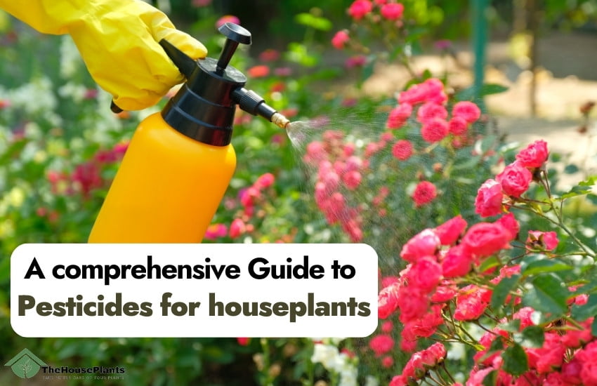 Pesticides for houseplants