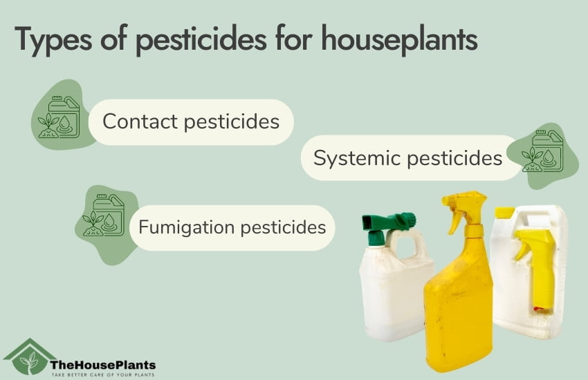 Types of pesticides for houseplants