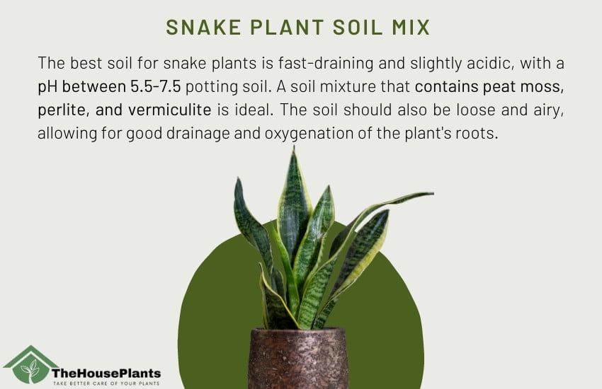 snake plant soil mix 