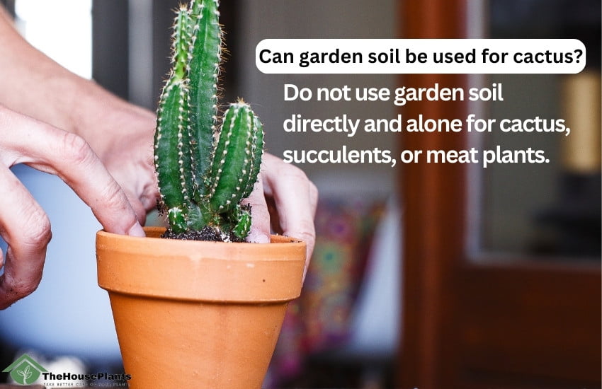 Can garden soil be used for cactus?