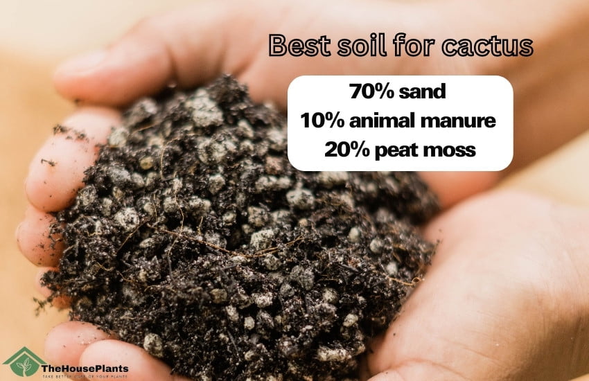best soil for cactus