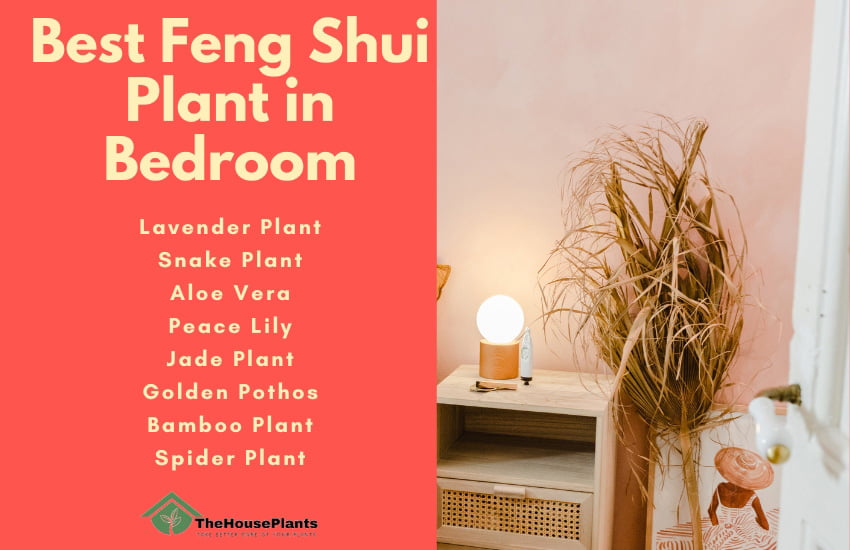 Best Feng Shui Plant in Bedroom