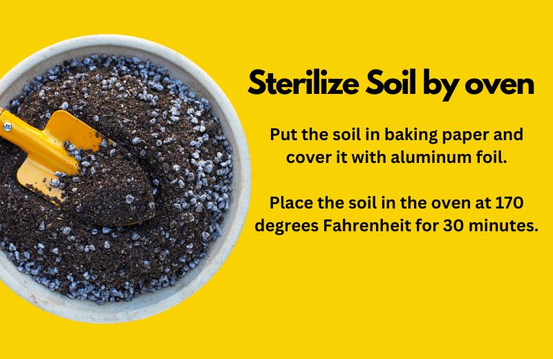 Sterilize Soil by oven